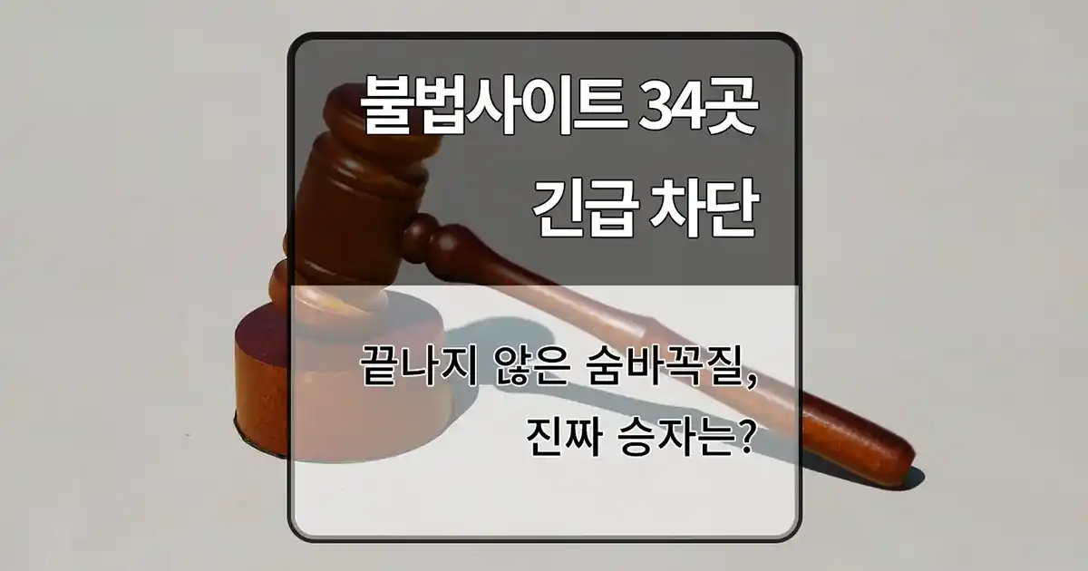 뉴토끼 등 불법사이트 34개 철퇴, '긴급차단 제도'가 가져올 진짜 변화